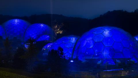Biomes lit blue for the NHS